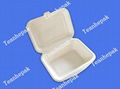 sugarcane bagasse pulp takeout food