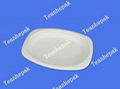 compostable white bleached oval plate