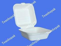 biodegradable hamburge box