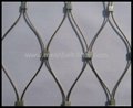 stainless steel ferruled mesh