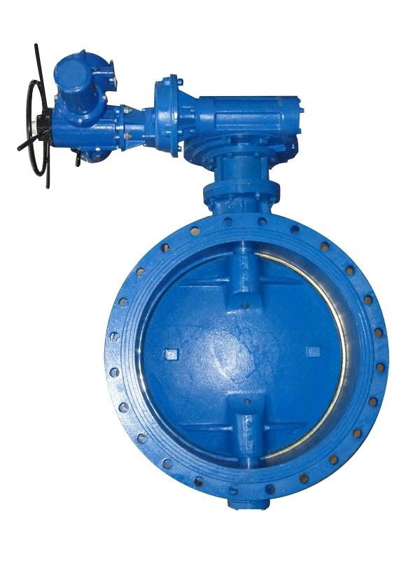 Large foot valve with SS strainer 4