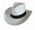cowboy cap 1