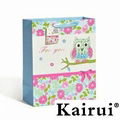 For You Owl City Gift Paper Bag For