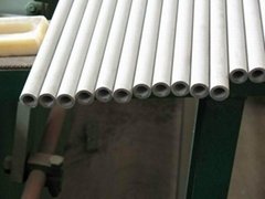 Seamless Stainless Steel Tube ASTM A213 TP317L SCH80 thin wall