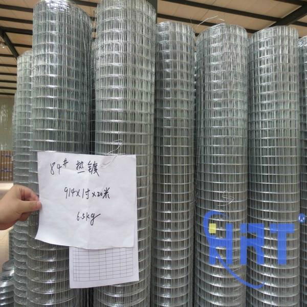GI welded mesh（factory directly selling） 3