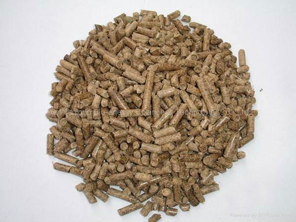 biomass molding fuel 4