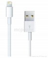 New White USB 2.0 cable for iphone 5 USB Data cable USB cable Lightning  3