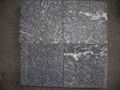 snow grey granite 1
