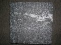 snow grey granite 2