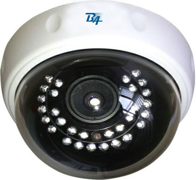 provide CCTV megapixel IP cameras