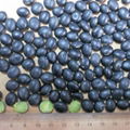 Sell black soybeans with yellow kernel