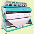 Salt Color Sorter Machine 1