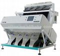 Bean Sorting Machine Made in China 1