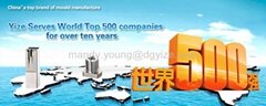 Dongguan Yize Moulds Co.,Ltd