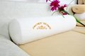 Elegant Moulded Visco Elastic Memory Foam Pillow Cylinder Throw Pillow 1
