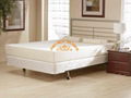 High quality Visco-elastic Memory foam home topper and hotel mattress