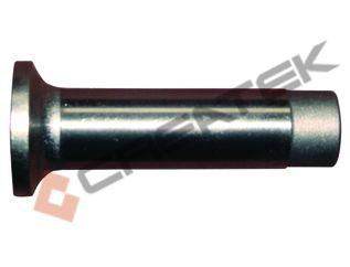 Foton engine part piston pin 5