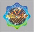 Holographic Security Label / Sticker 4