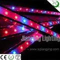 waterproof IP68 high power 36W led plant growing light for greenhouse agricultra 1