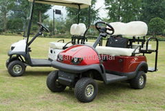 Cheap Top OEM brand Mini 2 Seater electric golf carts with Curtis controller