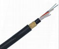 ADSS Cable 1