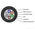 Dielectric Loose Tube Cable GYFTY  2