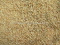 dehydrated garlic granules 1