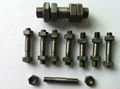 molybdenum bolts and screws  1