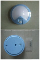 LED Sensor Light