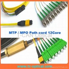 MPO MTP  Patch Cord