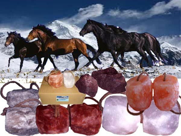 High Quality Mineral Salt licks for horses and Cattle