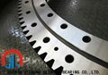 brand replacement--Jieheng high quality slewing bearing  4