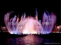 Musical spouting fountain and water curtain project of Shanghai Jinshan Seafood  4