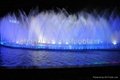 Grand Lifting Floating Style Musical Spouting Fountain in the lake for the Purpl 4