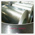 galvanized steel coils 5