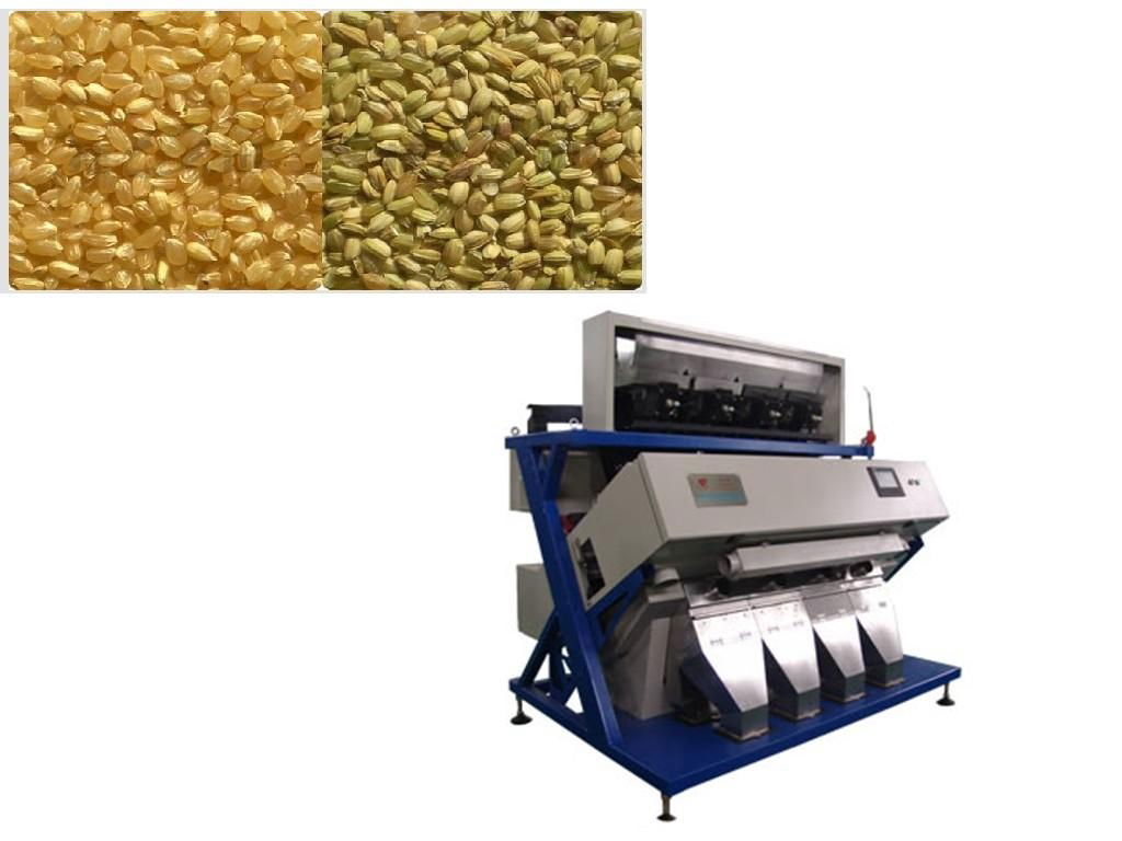 CCD 5000*3 pixel Color sorter