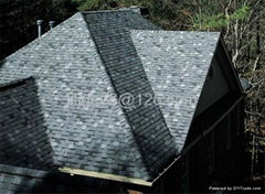 asphalt shingle