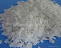 Calcium Chloride  1