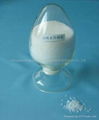 Superabsorbent Polymer(SAP) 1