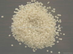 Polybutylene Terephthalate (pbt)