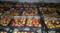 Fresh apples from Poland 1