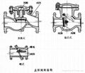 check valve