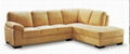 Morden Sofa