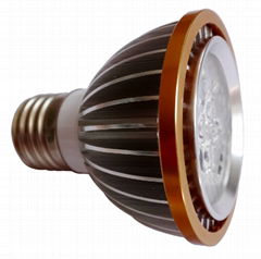 LED PAR-20