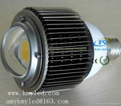 E40 LED industrial Light