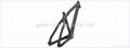 CARBON MOUNTAIN BIKE FRAME 3