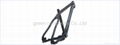 CARBON MTB BIKE FRAME 3