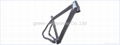 CARBON MTB BIKE FRAME 5