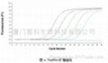 基因表达定量检测qPCR