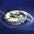 LED Strip SMD3528 3